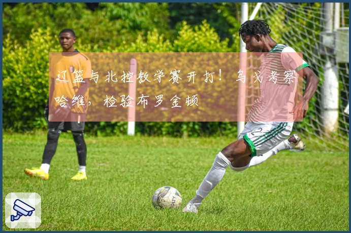 辽篮与北控教学赛开打！乌戈考察哈维，检验布罗金顿