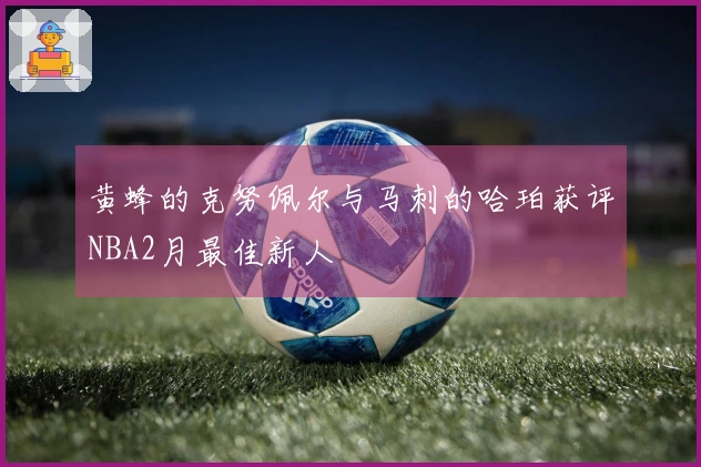 黄蜂的克努佩尔与马刺的哈珀获评NBA2月最佳新人