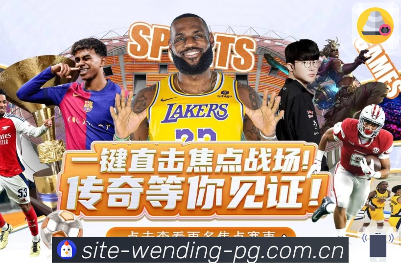 使命：守护每一场比赛的真实与顺畅